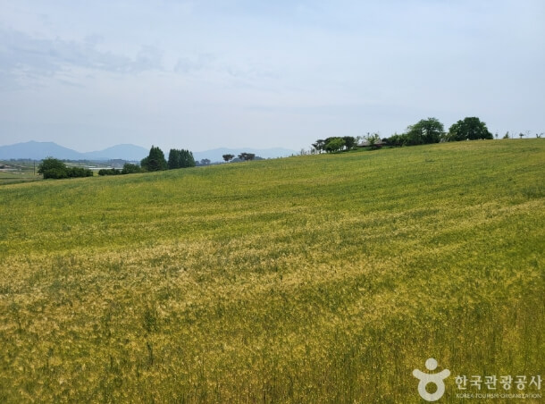 고창 가볼만한곳 베스트 10