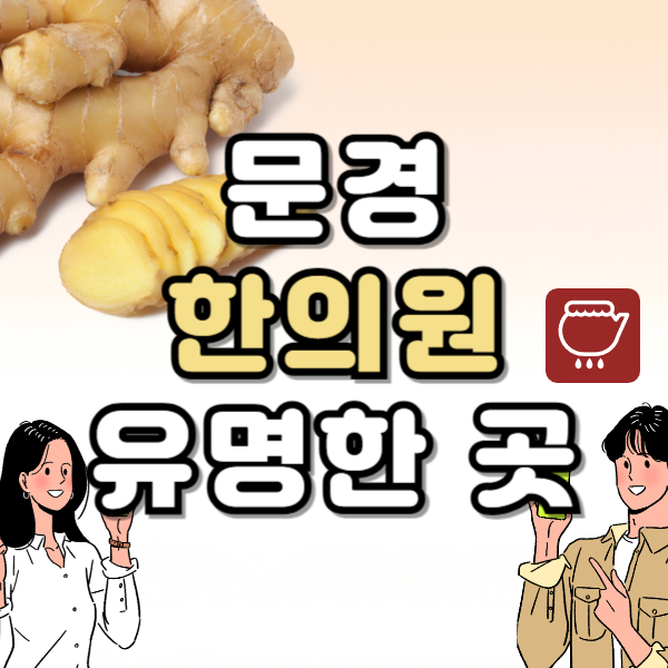 안동 한의원 추천 TOP5 양심 한의원 유명한 곳