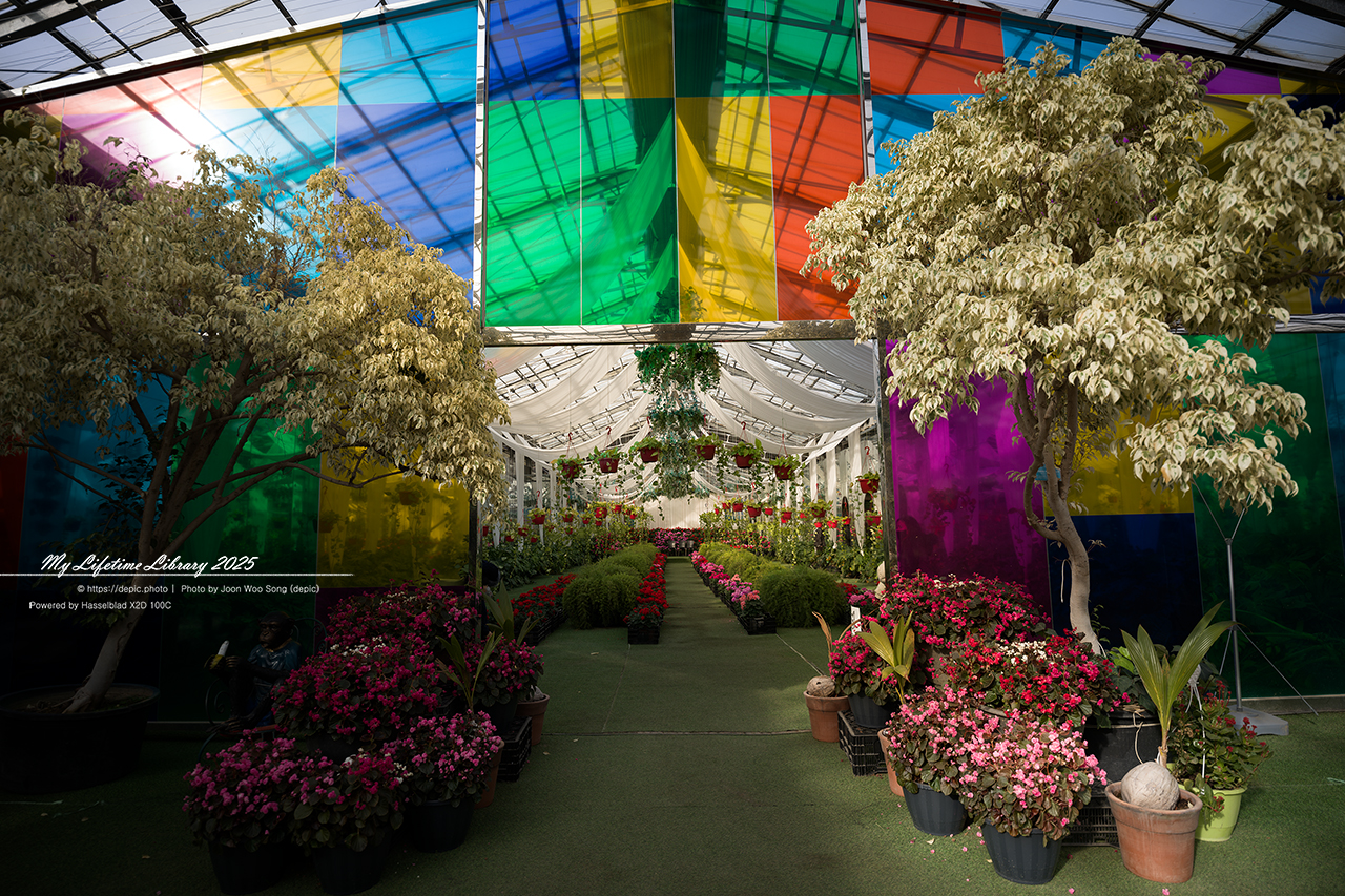 식물원 아산 세계꽃식물원 온실 꽃