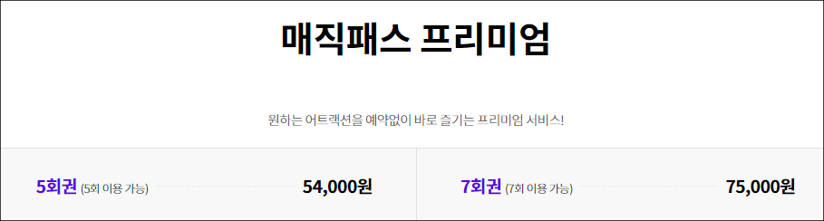 롯데월드 매직패스 설명