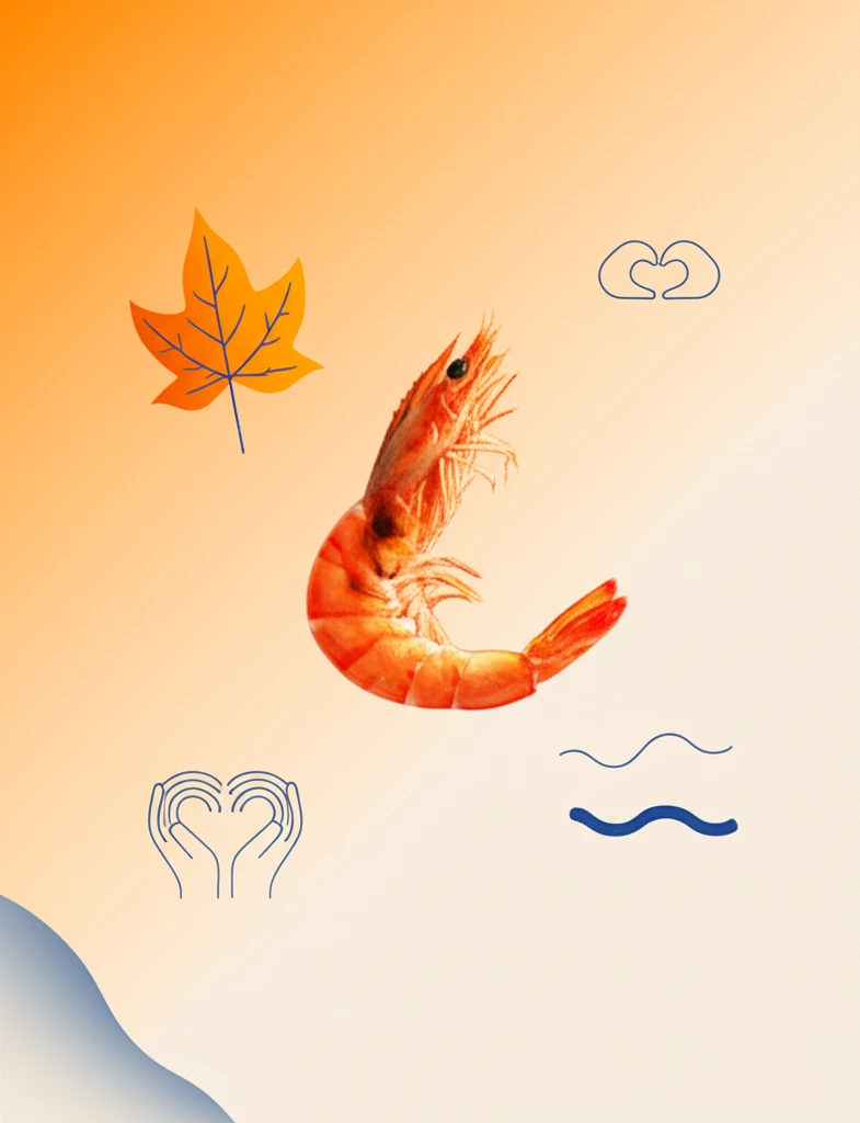 홍성 남당항 대하축제 가을 미식 여행..