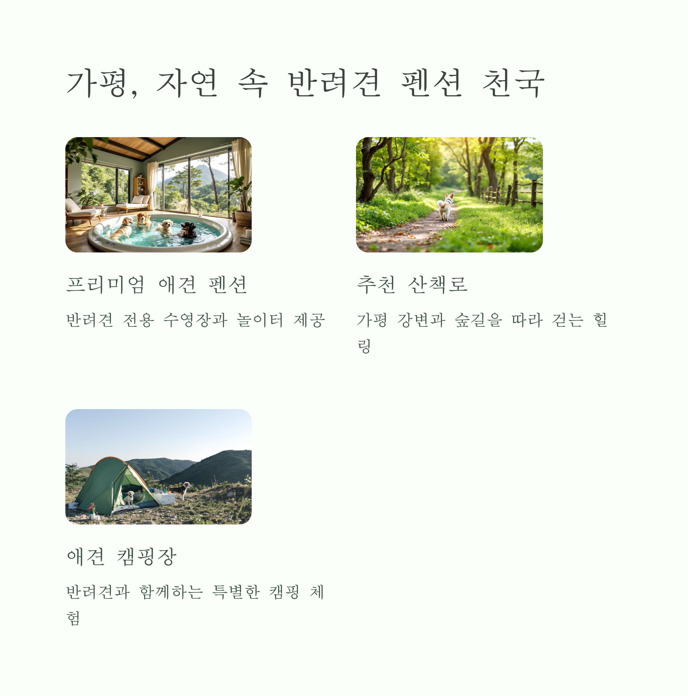 가평, 자연속 반려견 펜션천국