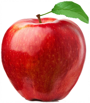 신장에 좋은 음식 안 좋은 음식 알아보기