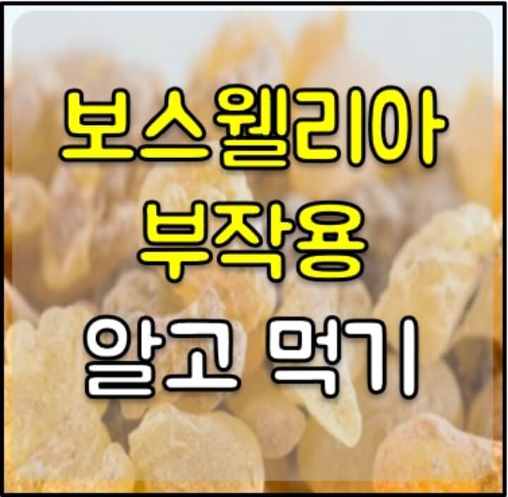 보스웰리아 부작용 썸네일