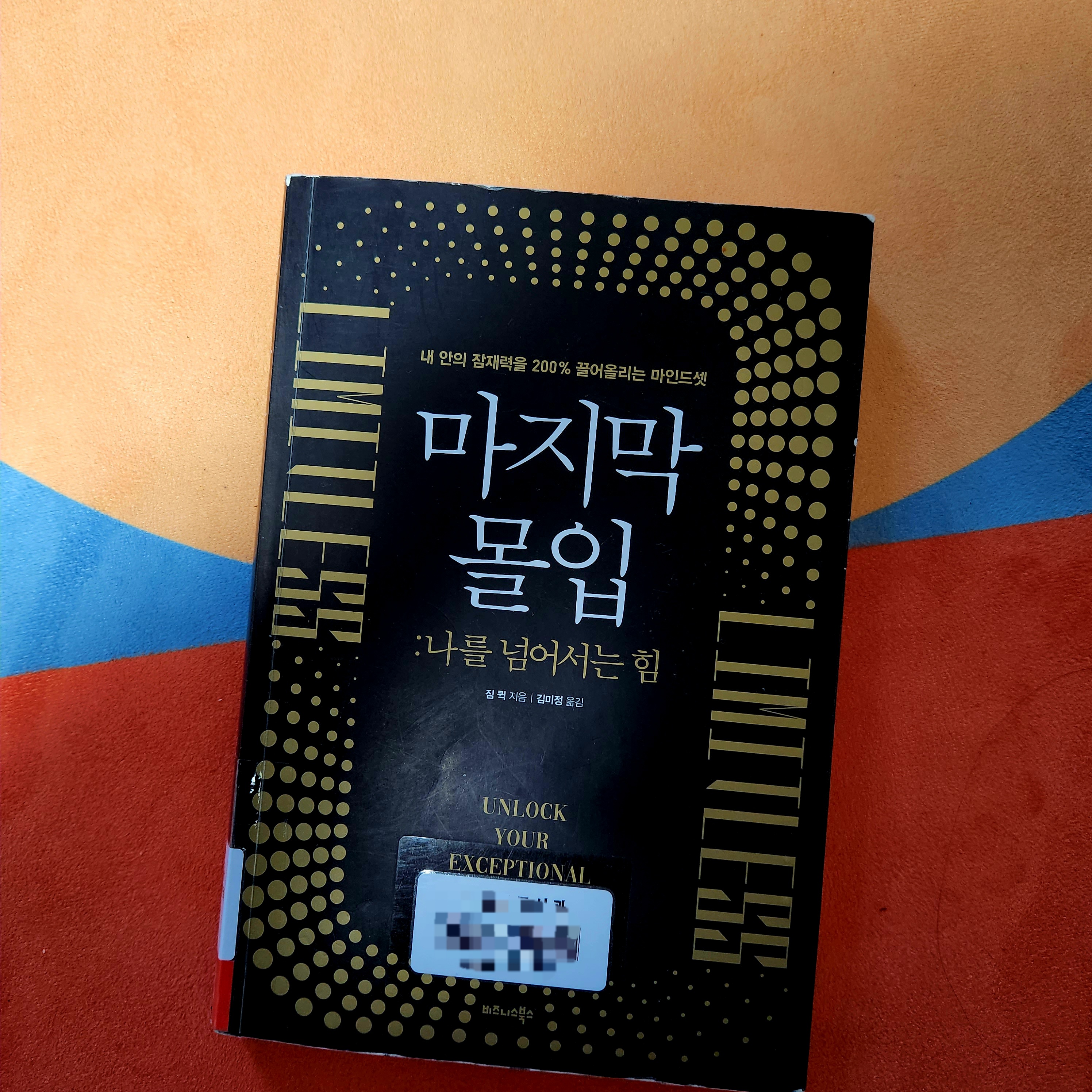 마지막몰입 책표지