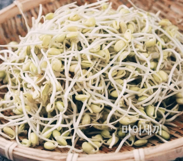 콩나물 영어로 bean sprouts