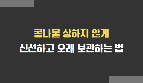 콩나물 상하지 않게 오래 보관하는 방법