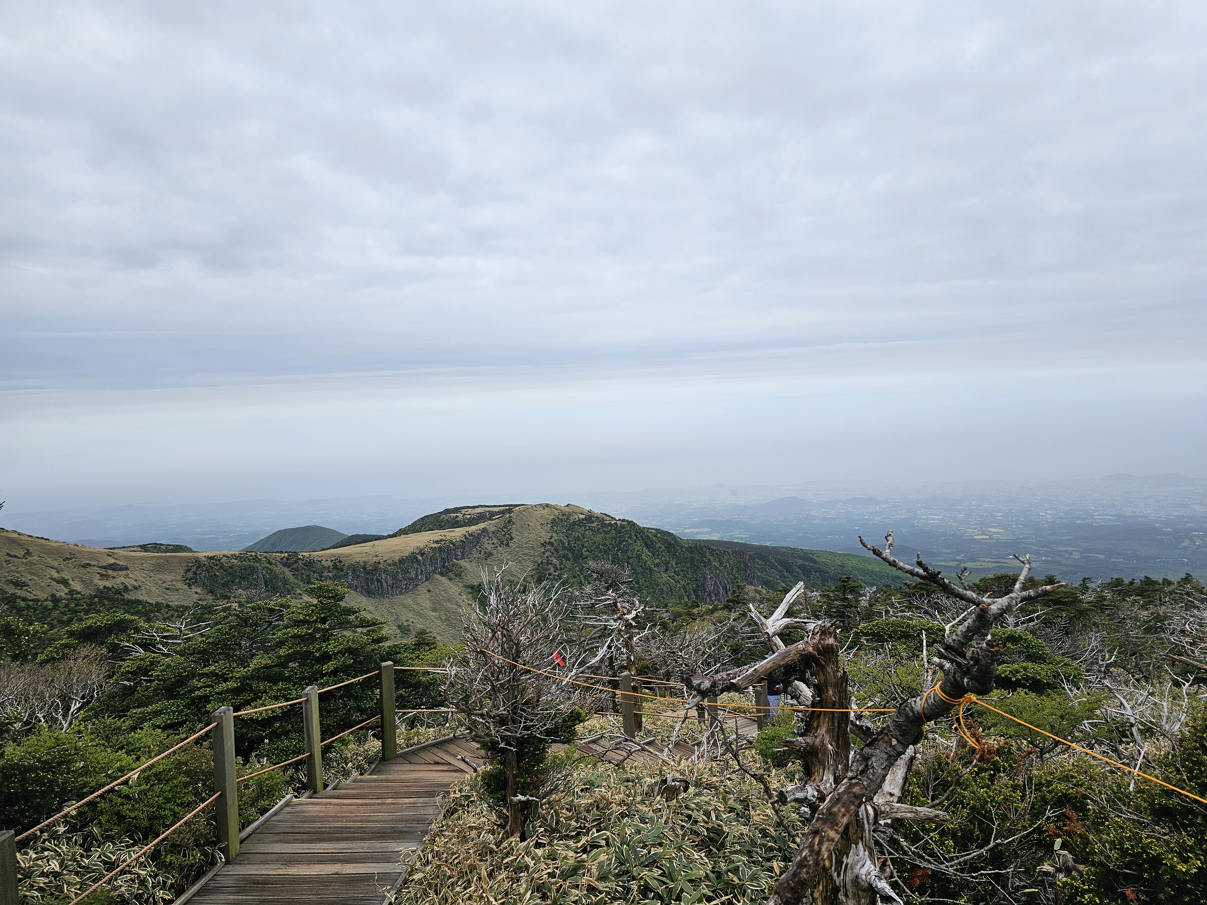 한라산 숲길 구간 예시 사진