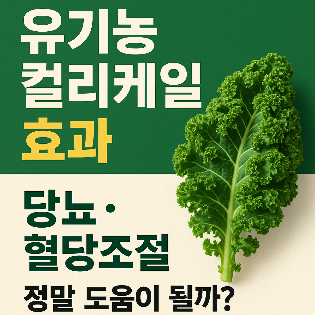 컬리케일 효능 당뇨 환자를 위한 슈퍼푸드