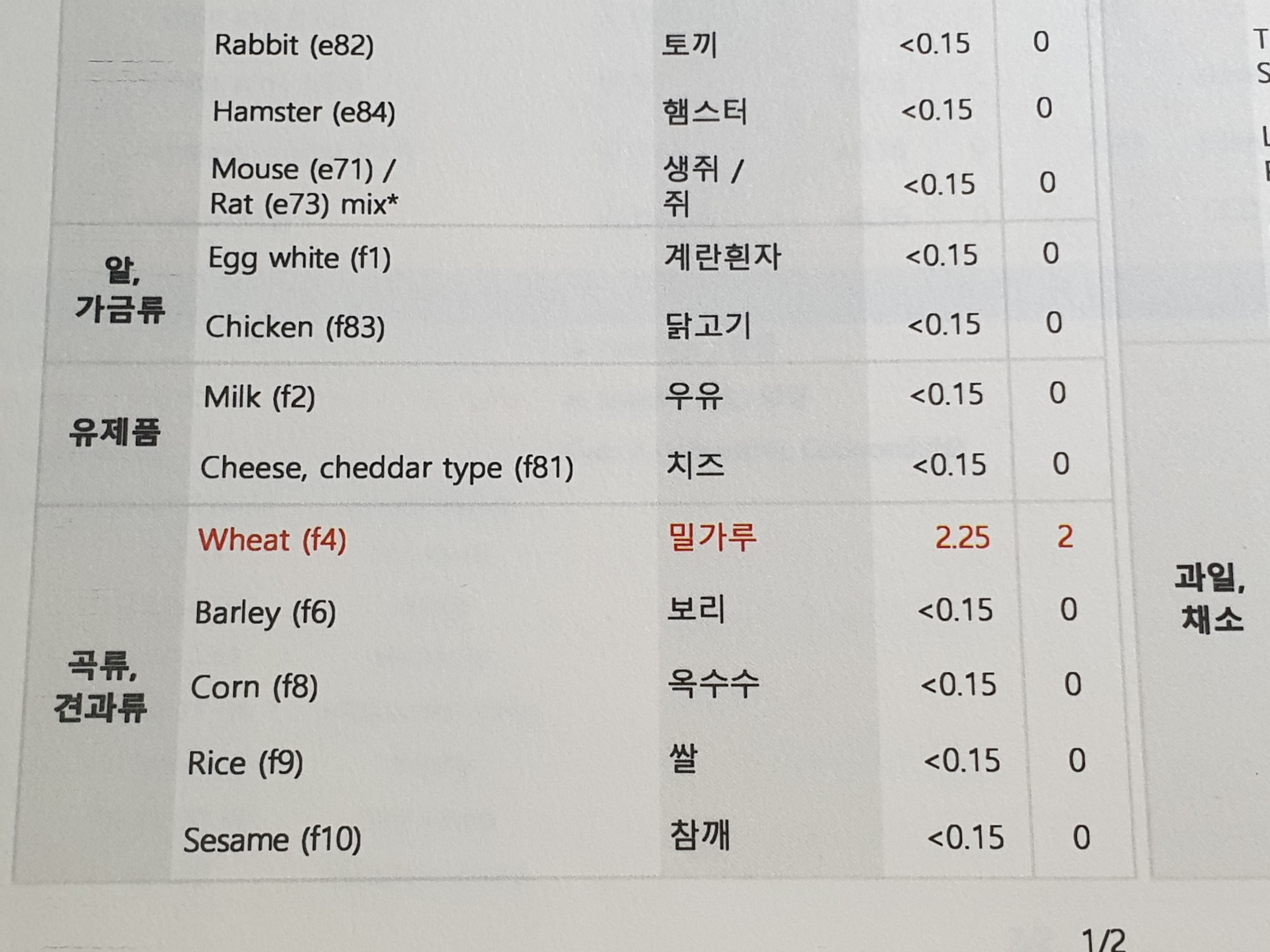 밀가루 알레르기