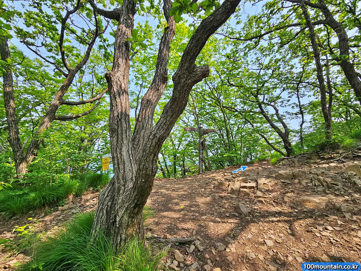 조령산 3지점