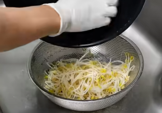  2024 정월 대보름 김치 만두 만들기 레시피 