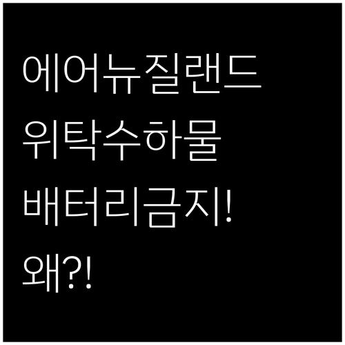 에어 뉴질랜드 위탁수하물에 배터리 넣..