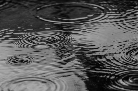 2025년 장마기간