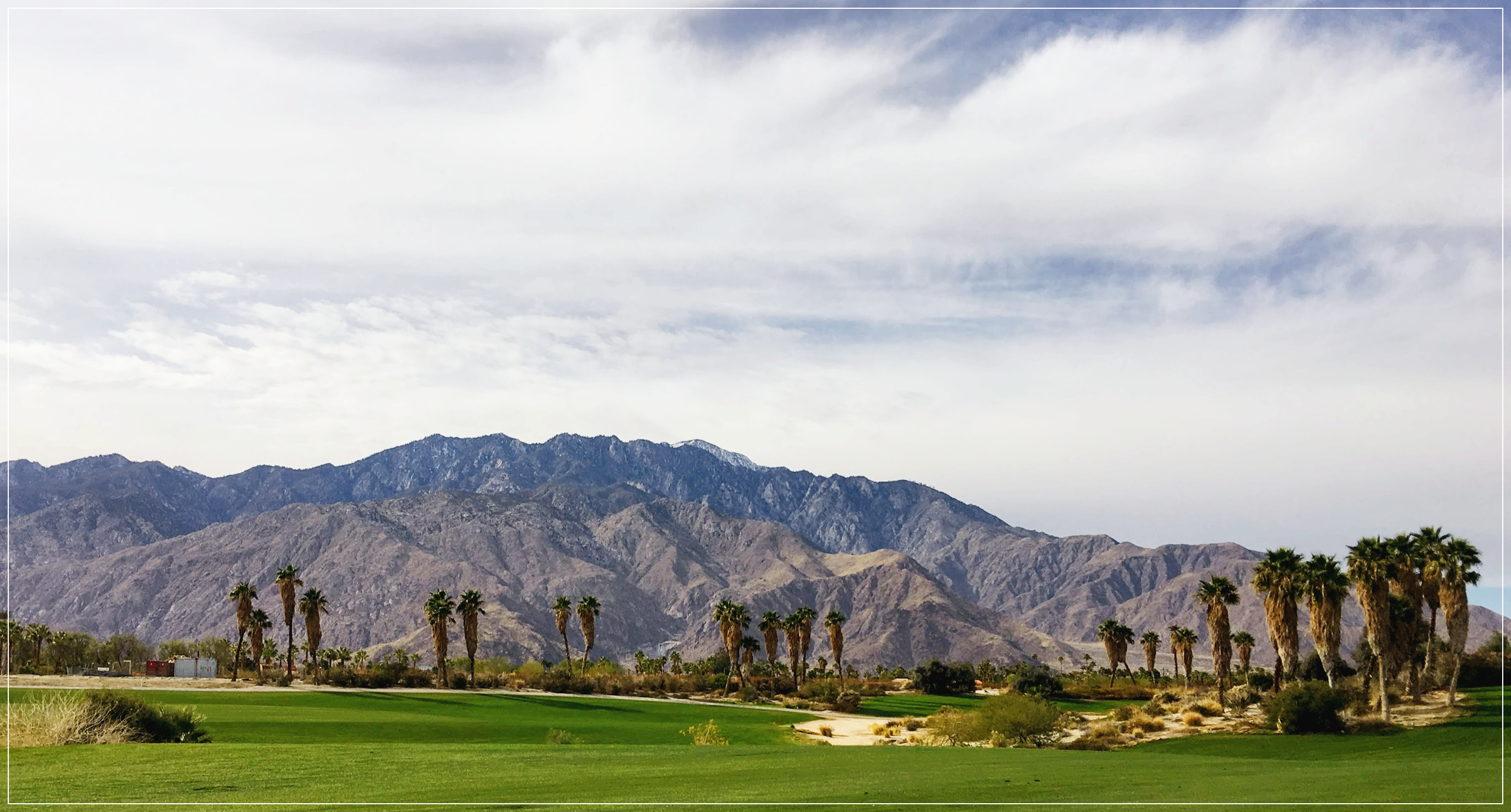 팜스프링스의 Mount San Jacinto 과 야자수
