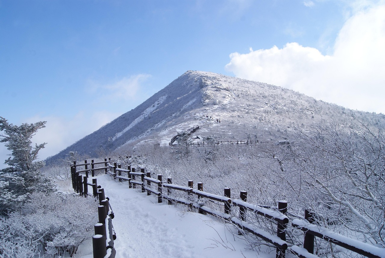 설악산과 오대산, 강원도 사찰과 자연속 명상 여행