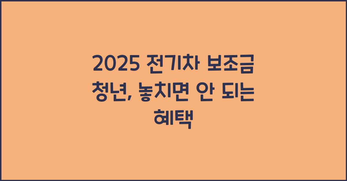 2025 전기차 보조금 청년