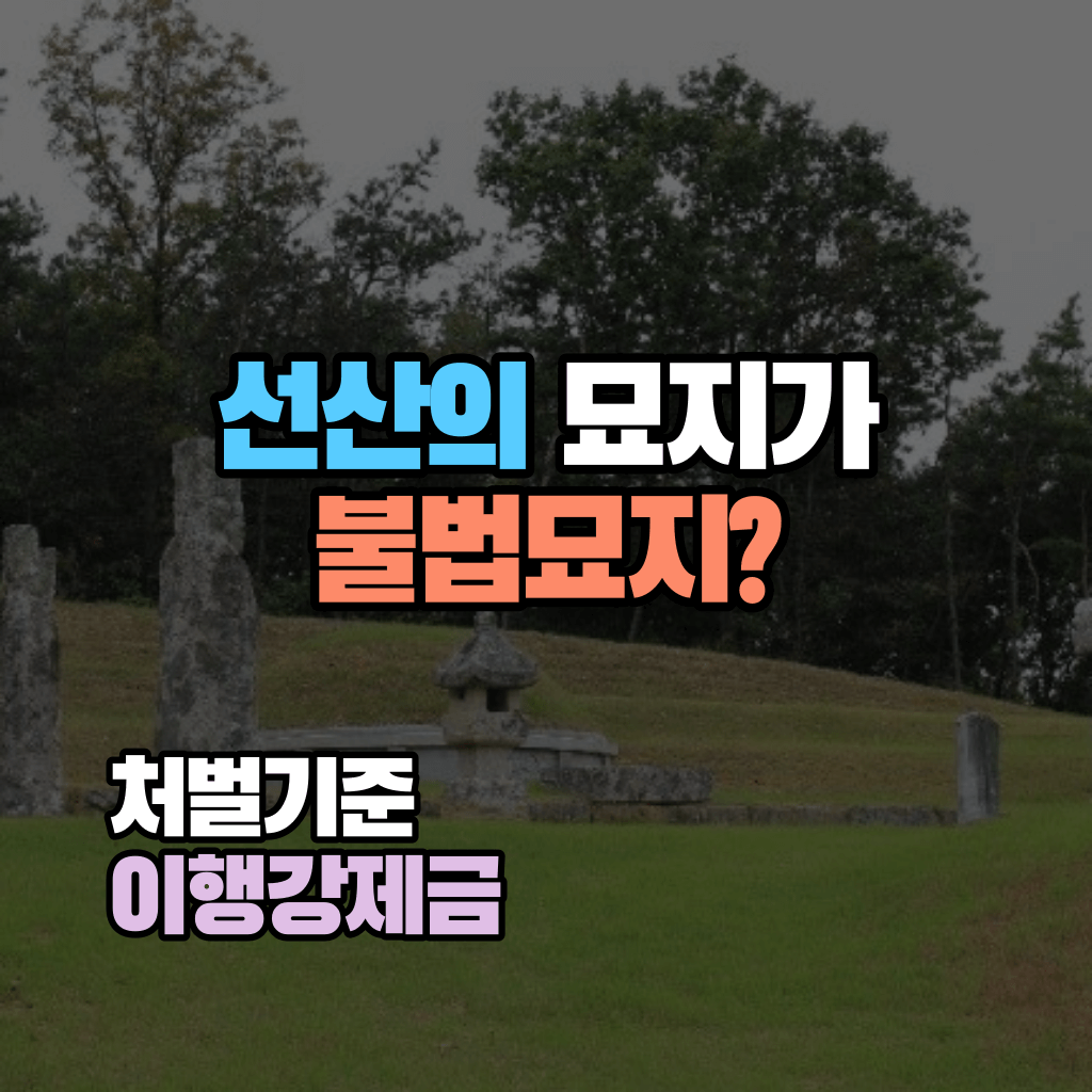 선산 묘지가 불법묘지?: 처벌기준 이행강제금