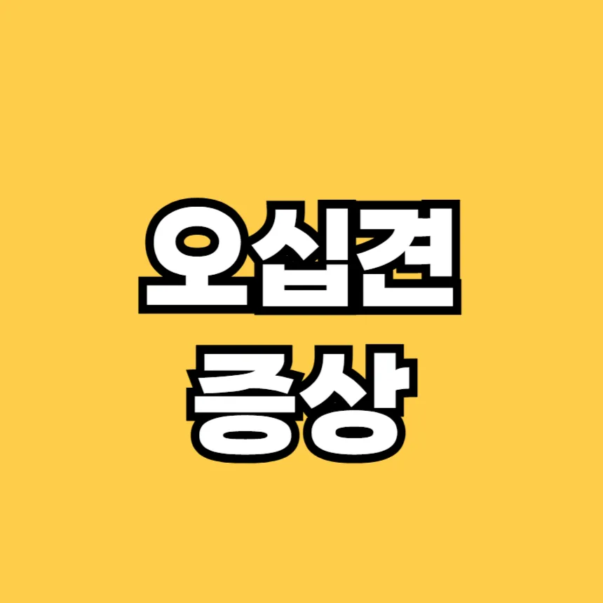 오십견 증상