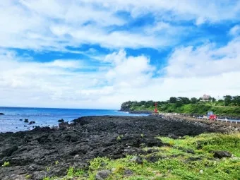 제주 여행 필수 코스 우도 배시간표 요금 예약 방법_6