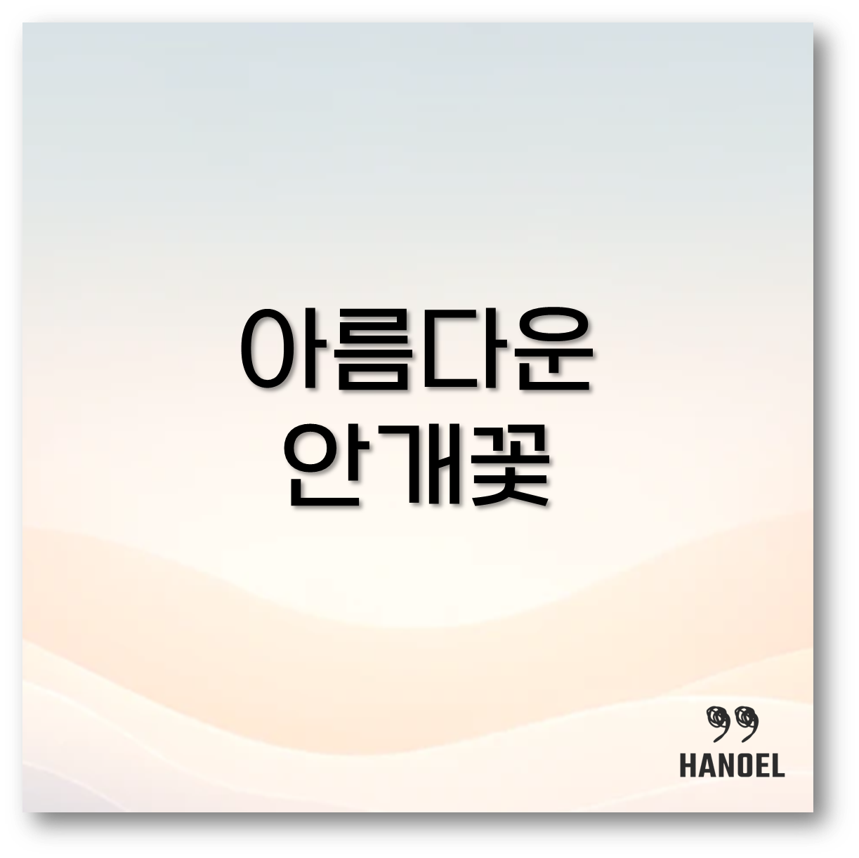 아름다운 안개꽃