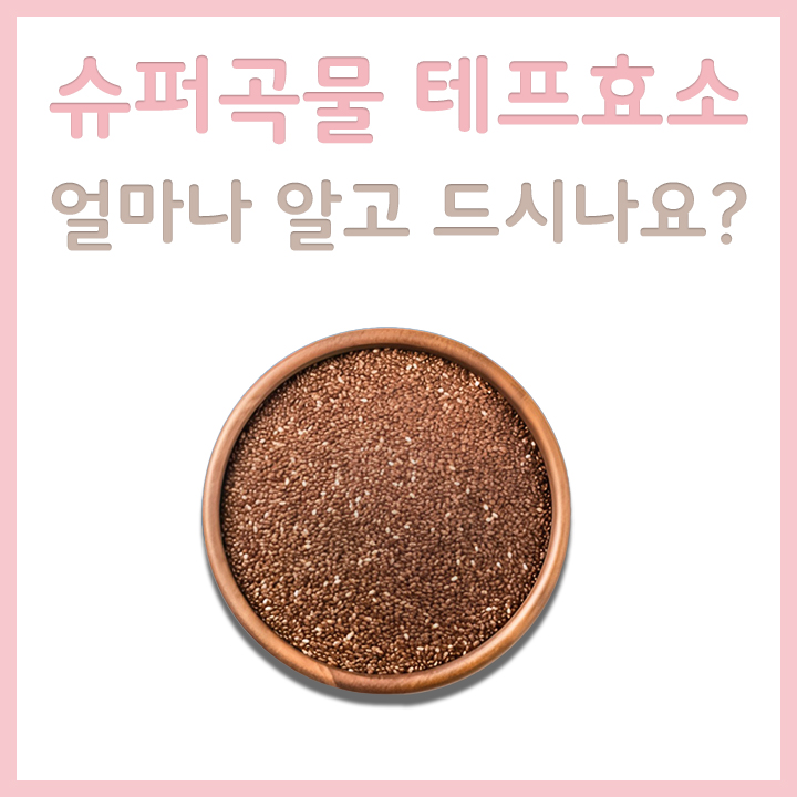 테프효소-원뭏-외형