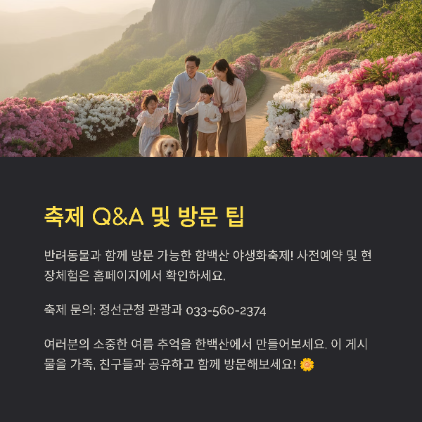 축제 Q&amp;A 및 방문 팁