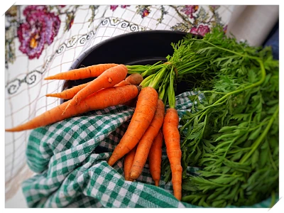 식도염 좋은 음식