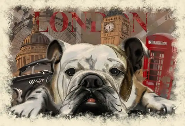 셀프 스튜디오 후기 이미지 콘텐츠로 재활용하는 전략