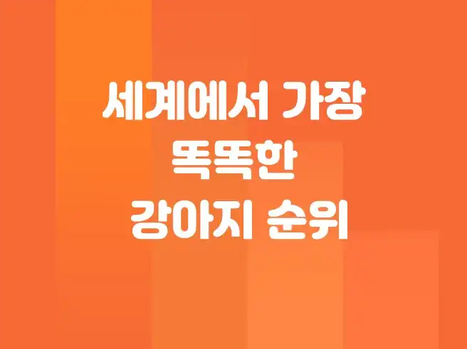 가장 똑똑한 강아지 순위, 우리 강아지는 몇 위일까?