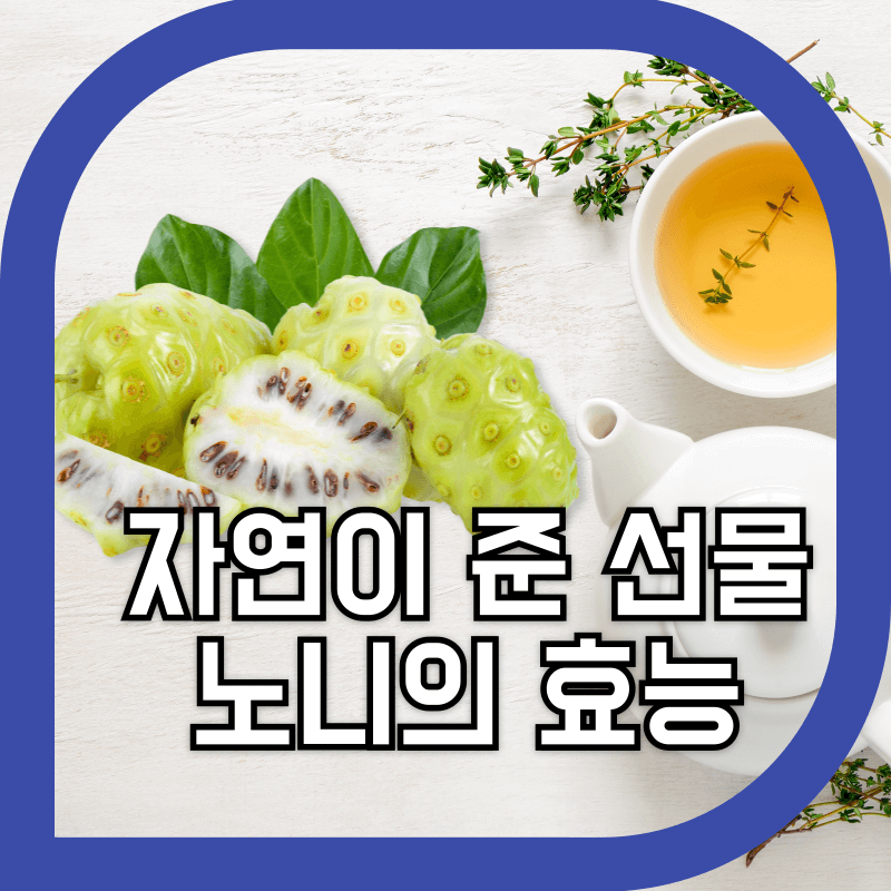 노니 열매 사진