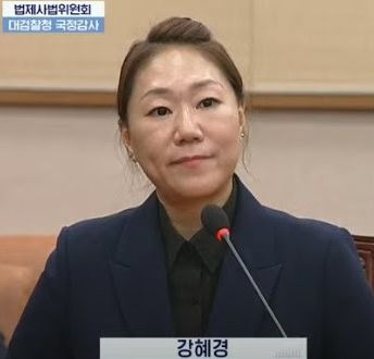 강혜경 보좌관 담당 업무