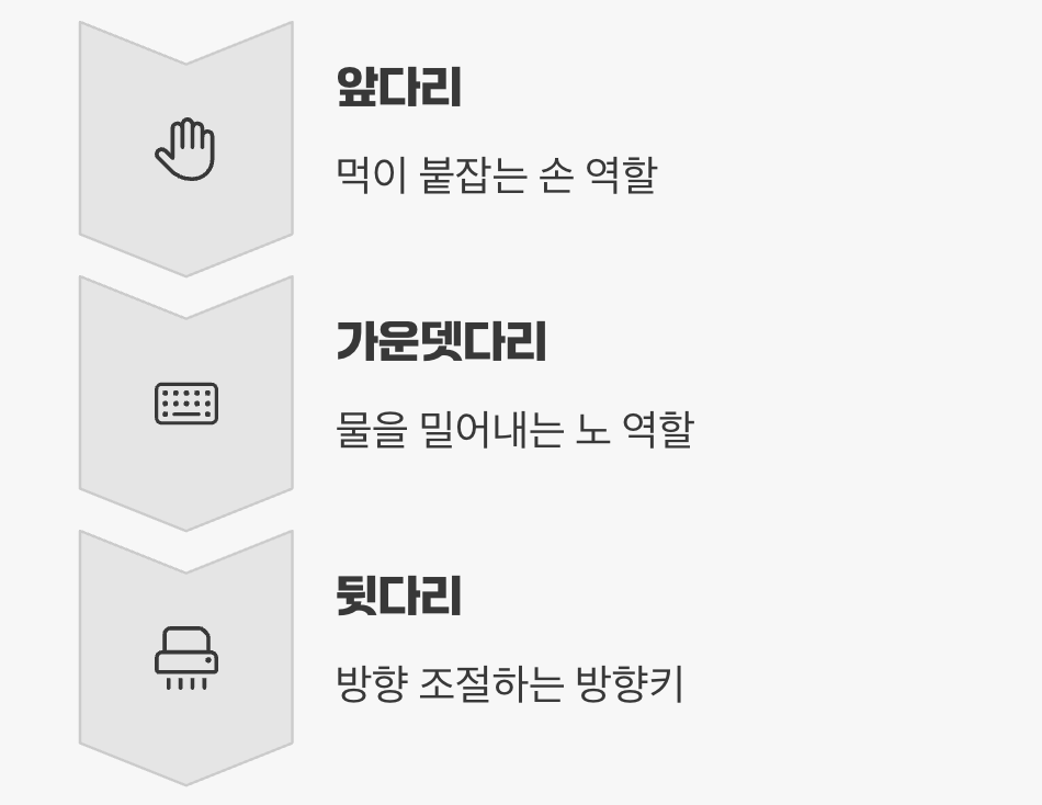 스케이트이자 노, 그리고 방향키