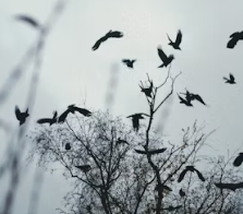 비타민D 부족 증상 섭취방법 많은 음식