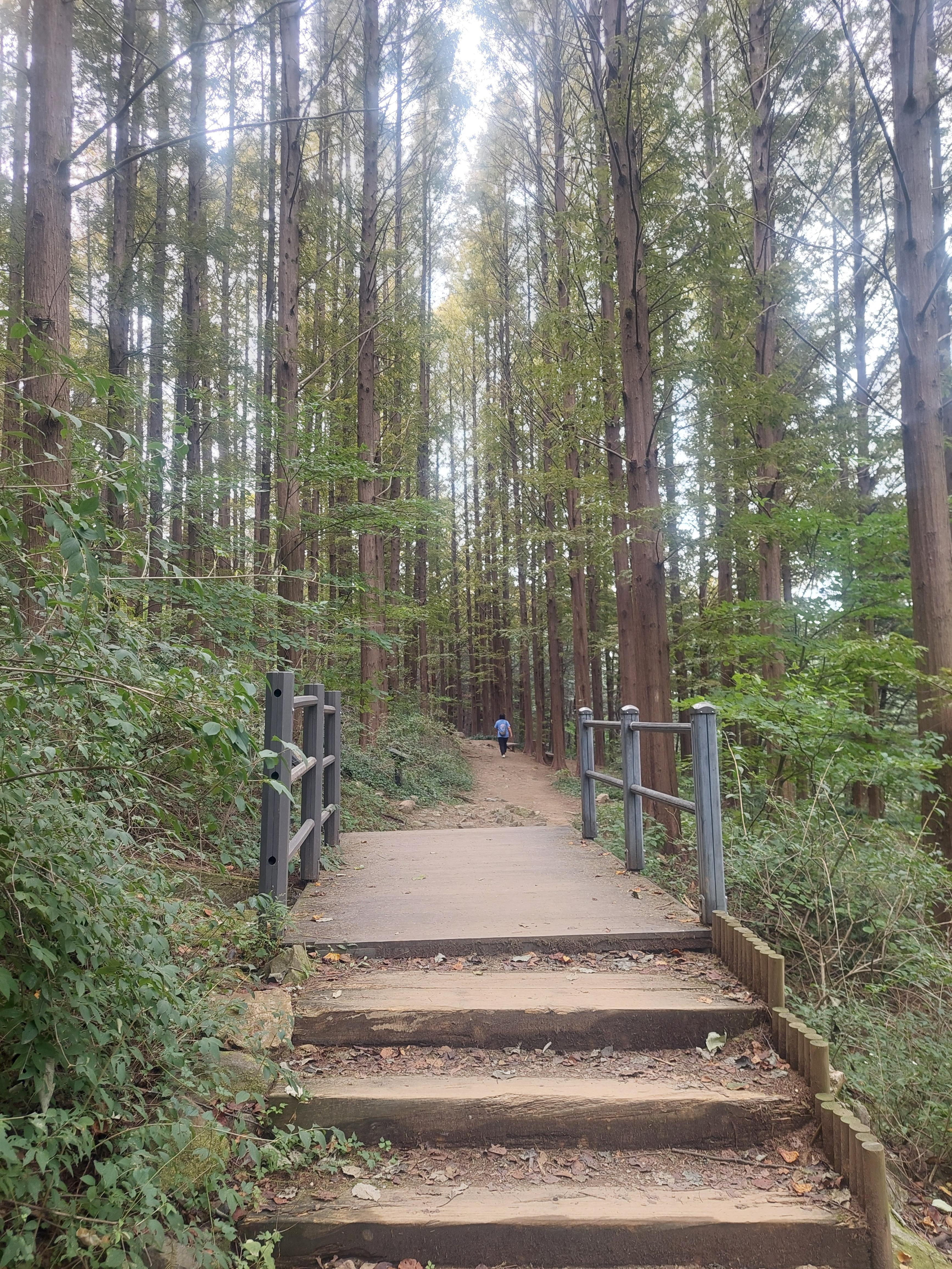안산