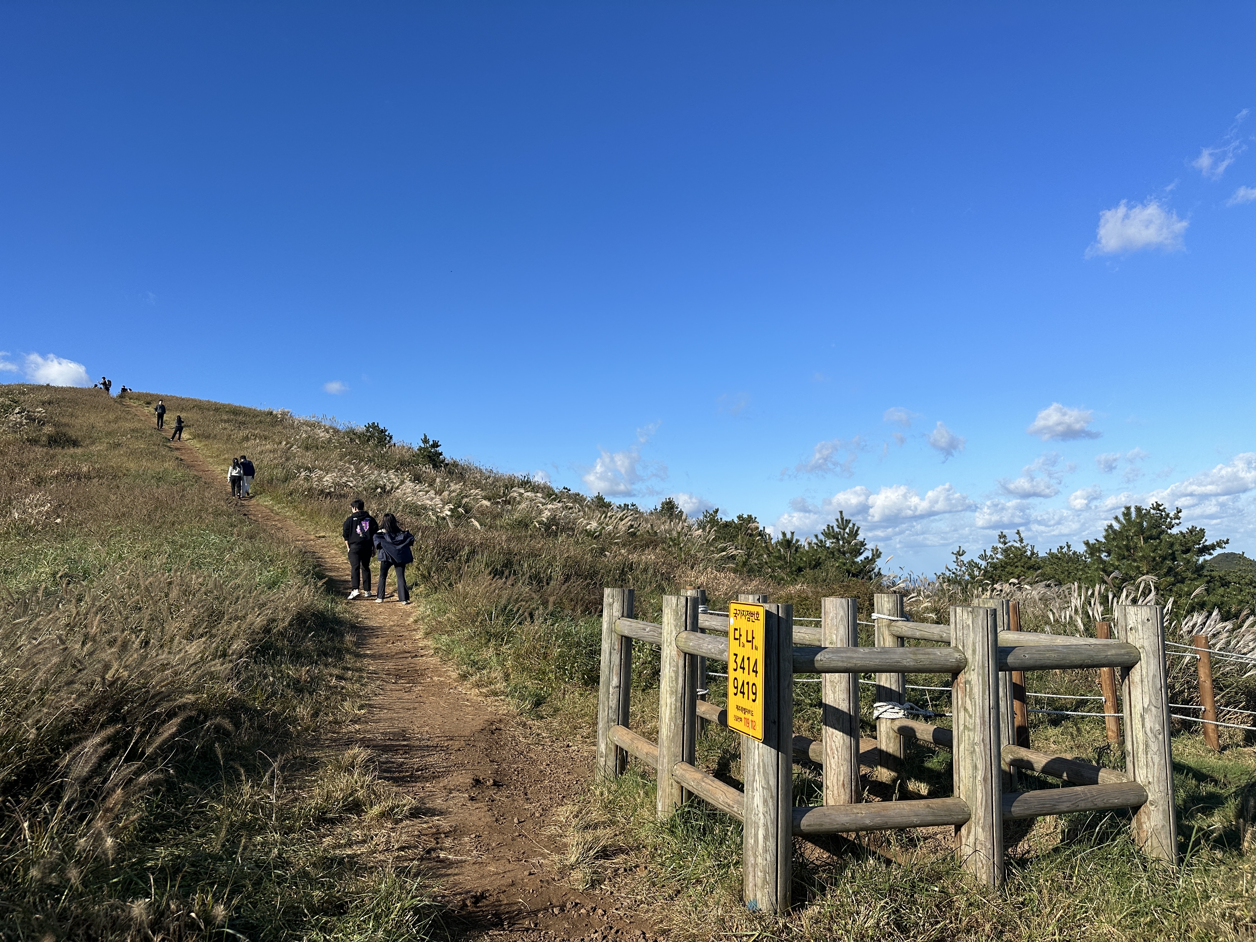 백약이오름 탐방로
