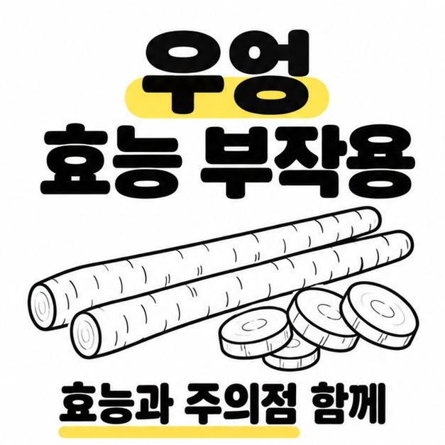 우엉 효능 부작용이라는 제목 아래 우엉 뿌리와 둥글게 썬 조각을 배치하고 효능과 주의점을 함께 살피도록 안내하는 이미지
