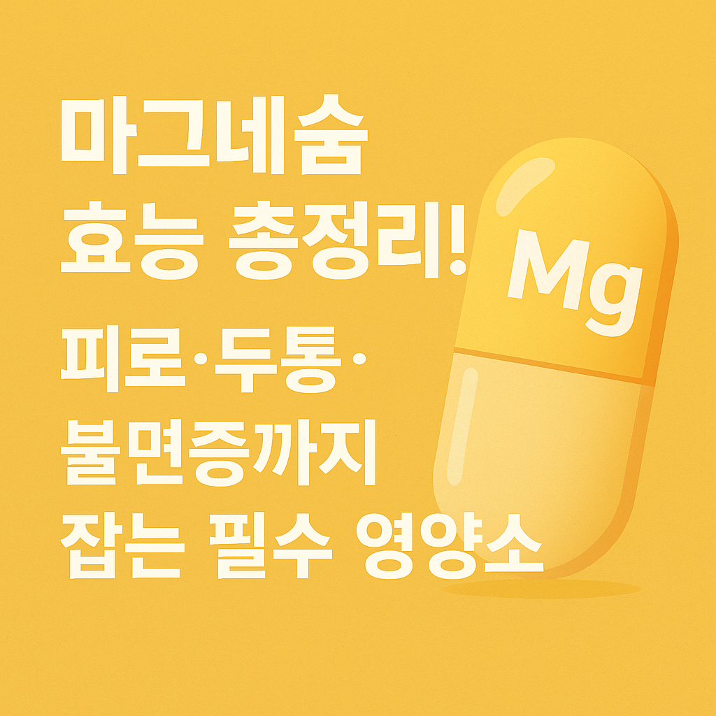 마그네슘 효능
