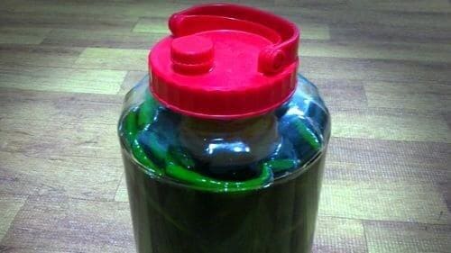 간장고추장아찌-청양고추장아찌-담그기-담그는법-완성하기