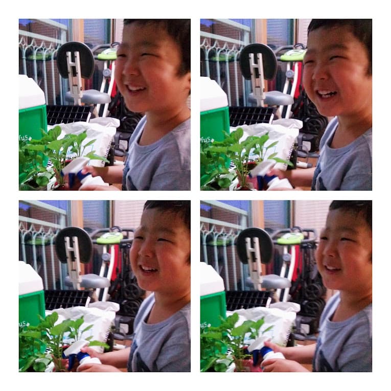 식물과 인사하는 아이