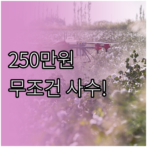 압류 방지 전용 계좌 활용법과 생계비..