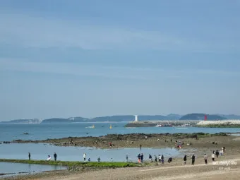 무창포 해수욕장 여행코스 바다 갈라짐 시간표 포함 정리_7