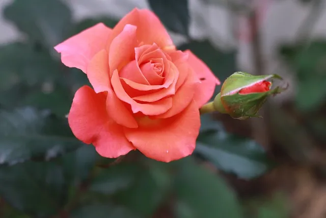 위원회 월례회 기도문 모음 예배 10선_7