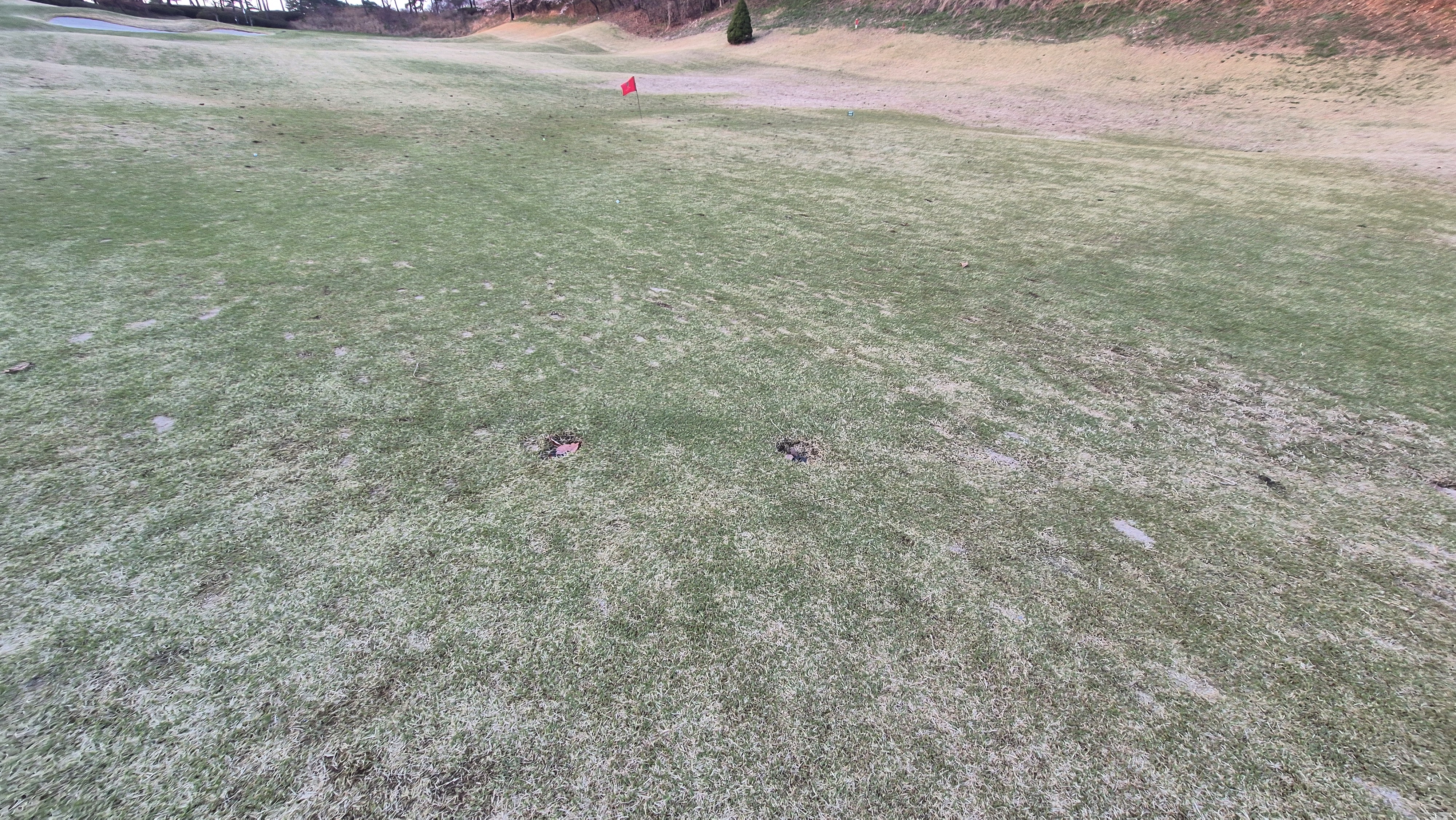 안성베네스트gc 동-남 코스 라운드 후기