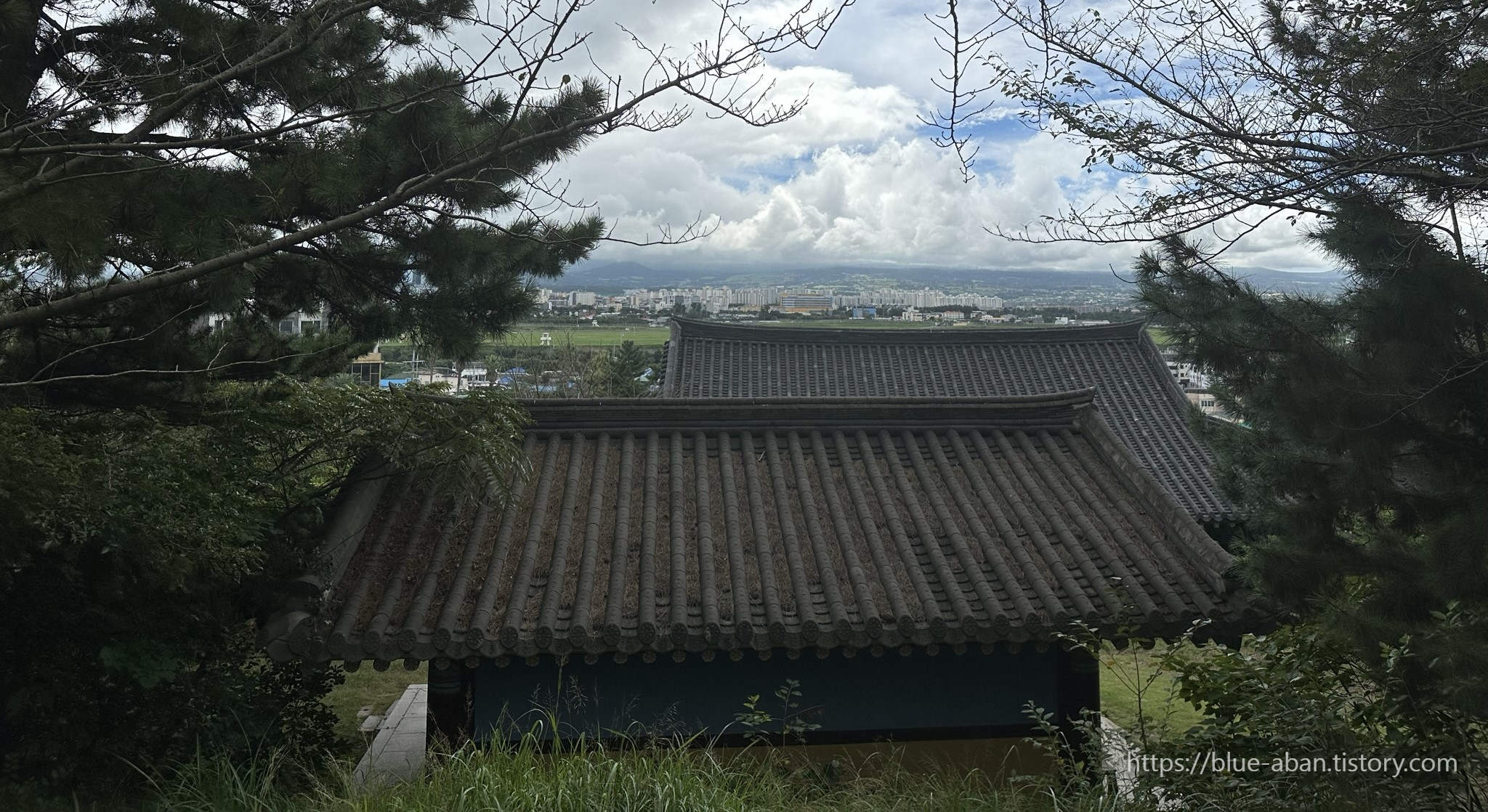 장안사