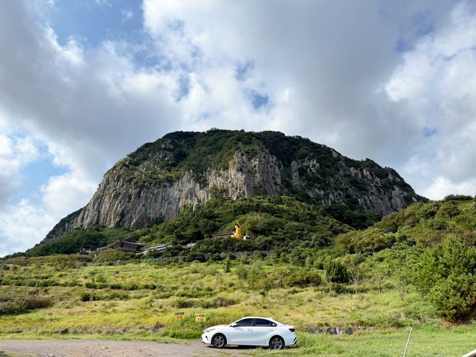 제주 핑크뮬리 명소 마노르블랑