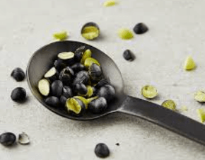 서리태 파종시기