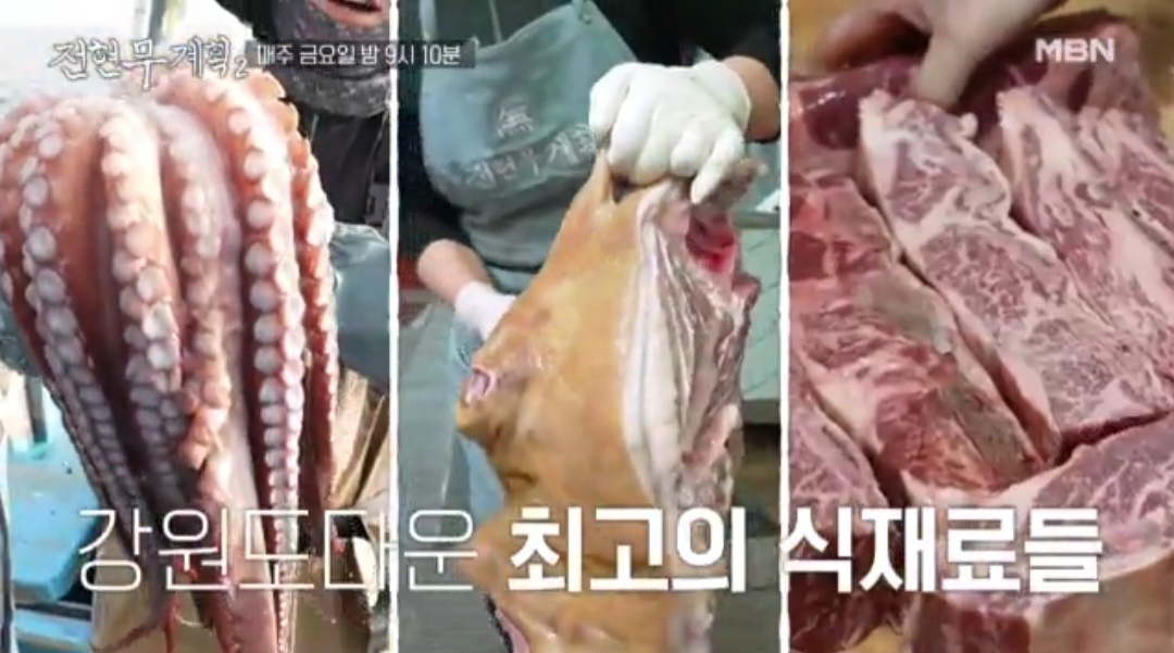 전현무계획2 문어 숙회 생골뱅이 삼척