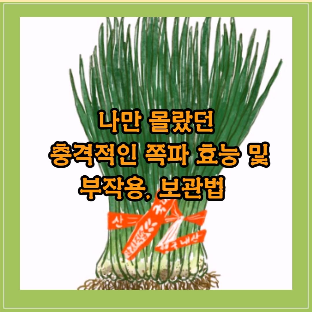 쪽파 보관법