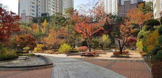 2023 단풍 절정 시기 + 전국 단풍 명소 5 곳 추천